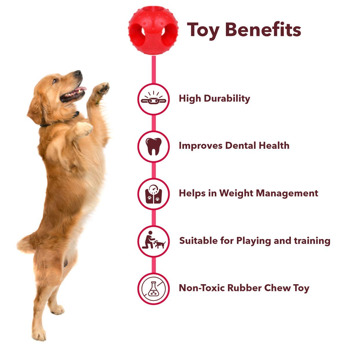 Non-Toxic Rubber Hole Ball Toy, Puppy/Dog Teething Toy - 7.62 cm Pack
