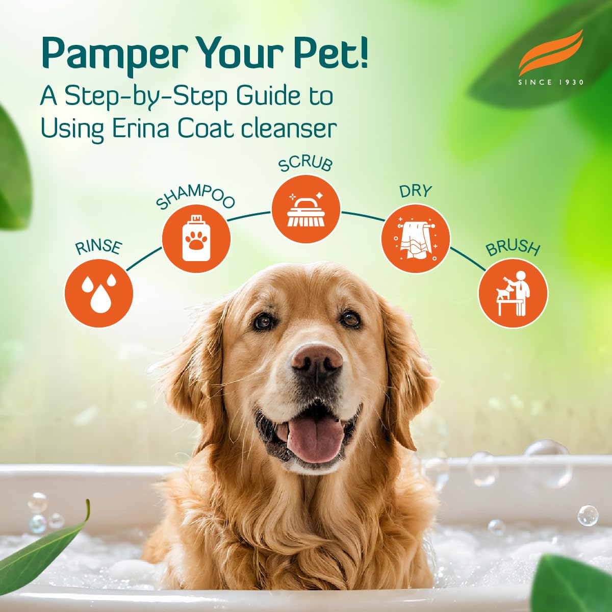 Erina Coat Cleanser | 450 ml | Routine Bathing & Skin Hygiene | With Neem for Dandruff & Itch Relief
