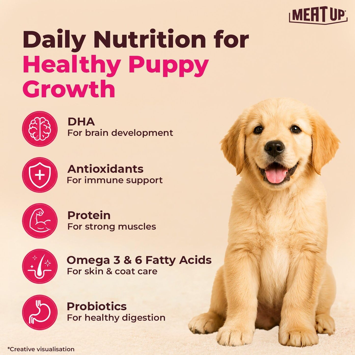 Puppy Dry Dog Food 6kg (3kg + 3kg Free) | Chicken & Milk Flavour | Supports Brain & Nervous System Development | Maintains Digestive Health | Enriched with Vitamins & Minerals