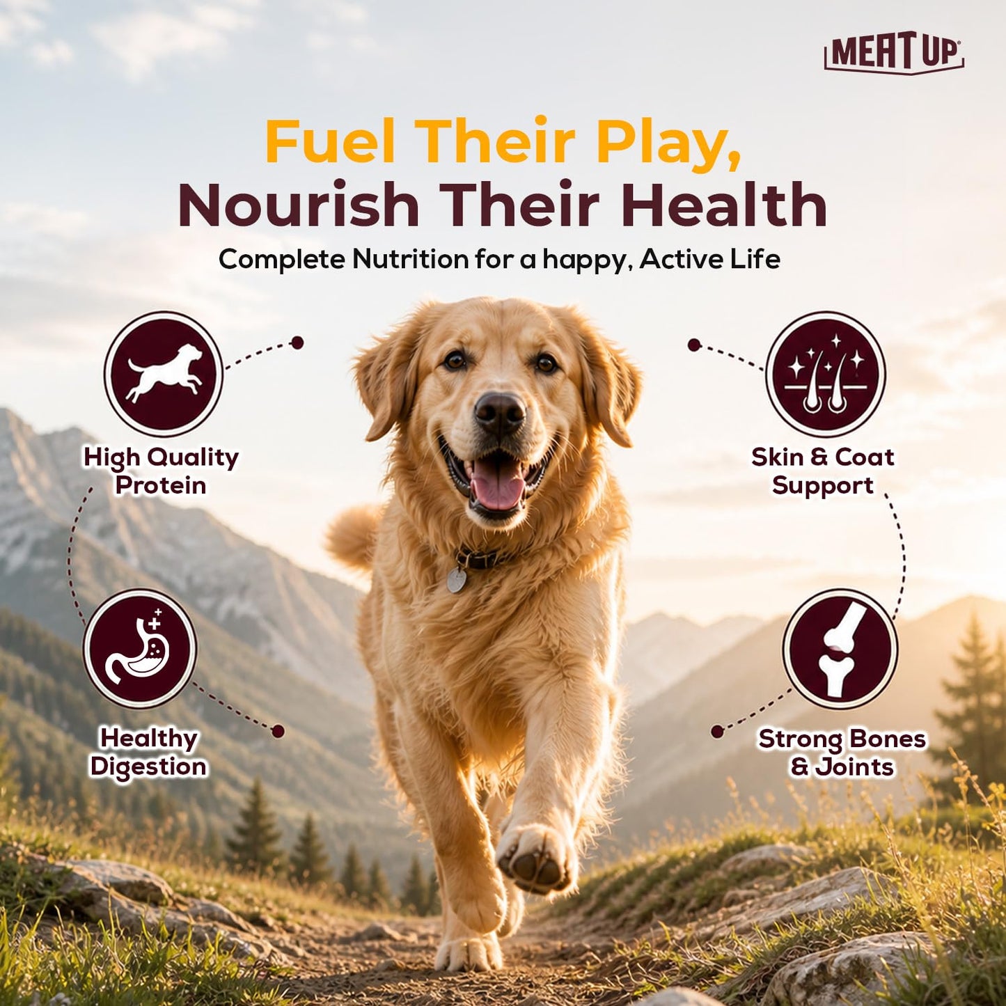 Meat and Rice Adult Dry Dog Food, Total 6 kg