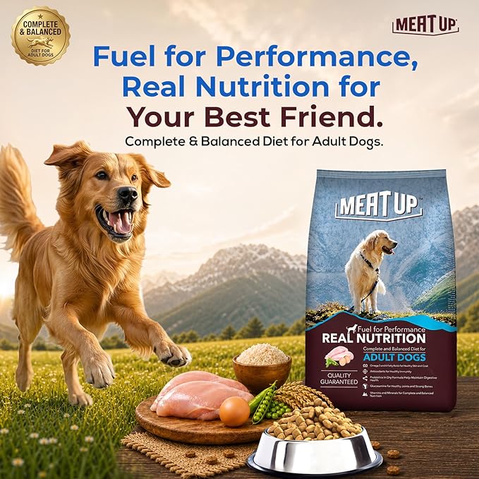 Adult Dry Dog Food 20kg (10kg + 10kg) | Chicken Flavour | Glucosamine for Healthy Joints & Strong Bones | Enriched with Vitamins & Minerals | Supports Digestive Health