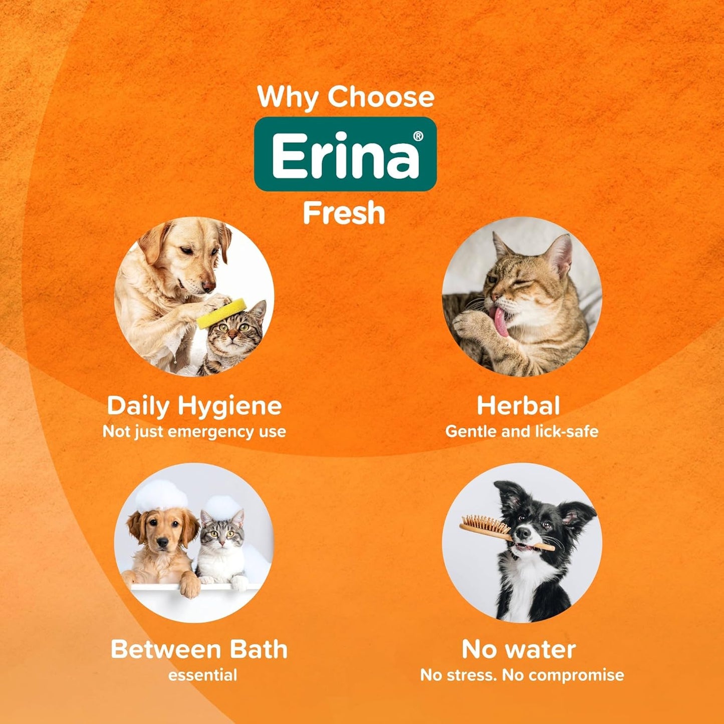 Erina Fresh | 150 ml | Rinse-Free Foam Cleanser/Dry Shampoo with Aloe Vera, Holy Basil & Tea Tree Oil