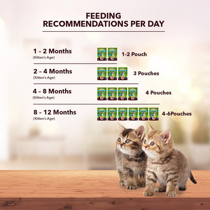 Kitten Wet Cat Food 800g (50g x 8 + 400g Free) | Real Chicken | Supports Heart & Vision | Strong Bones & Teeth | Natural Flavours | Organic Minerals & Vitamins