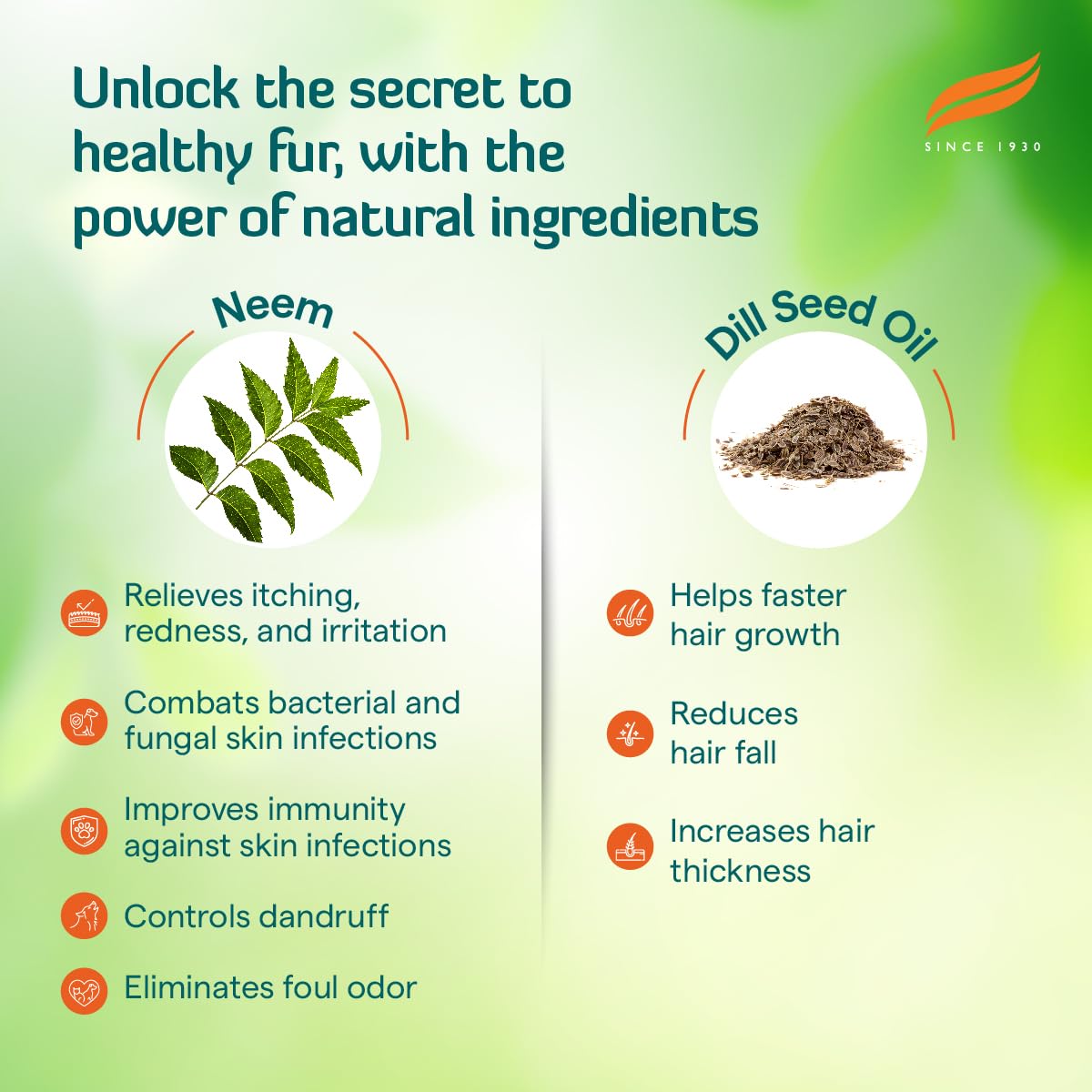 Erina Coat Cleanser | 450 ml | Routine Bathing & Skin Hygiene | With Neem for Dandruff & Itch Relief