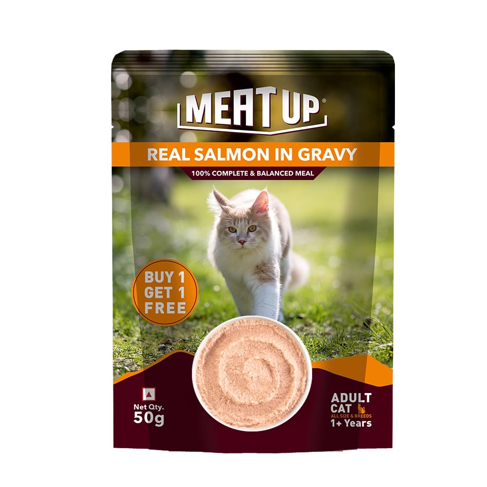 Adult Wet Cat Food (50g x8) 400g + 400g | Real Salmon Fish in Gravy | Supports Heart & Vision Health | Strong Bones & Teeth | Natural Flavours | Organic Minerals & Vitamins