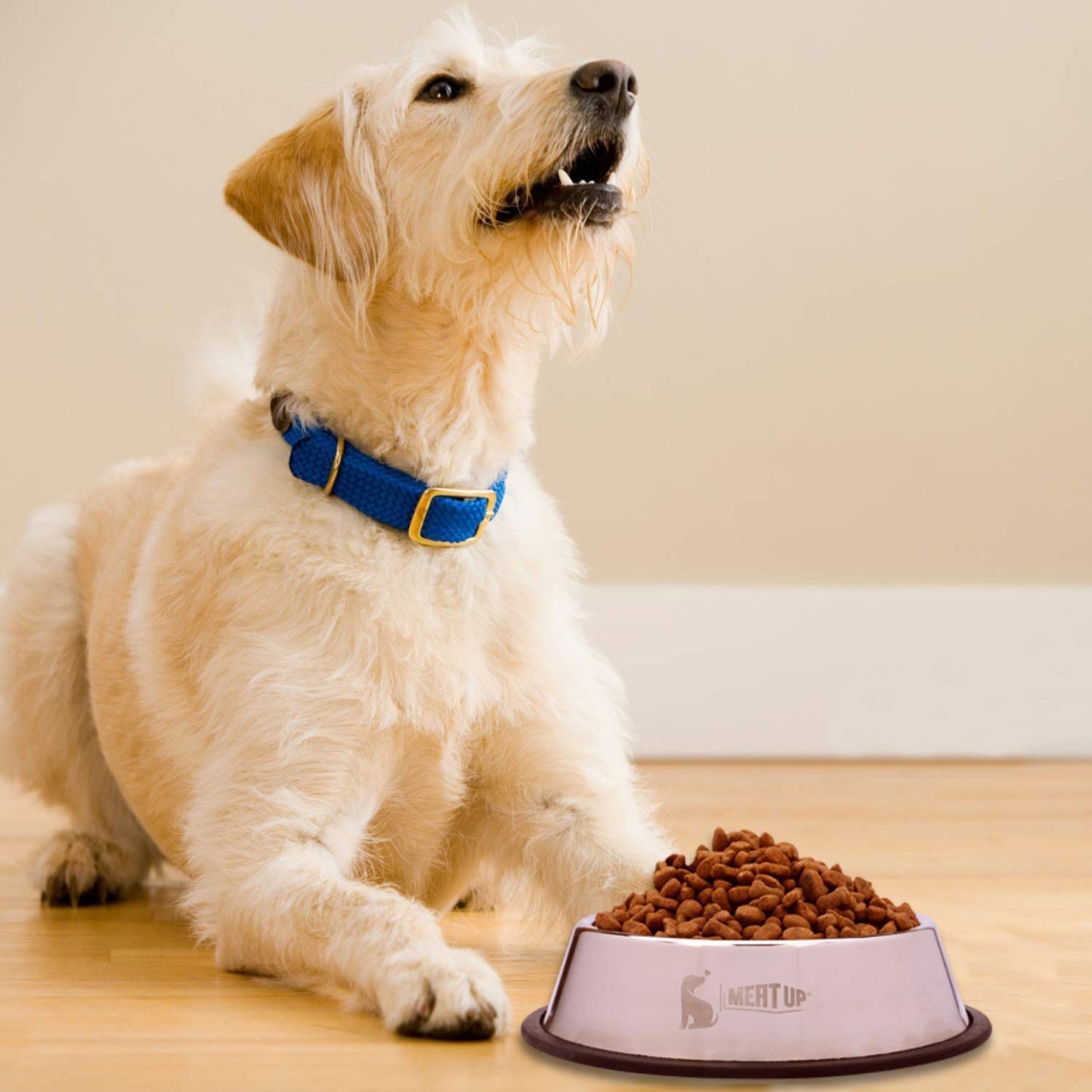 Stainless Steel Feeding Bowl For Dog, Medium - 700ml (Buy 1 Get 1 Free)