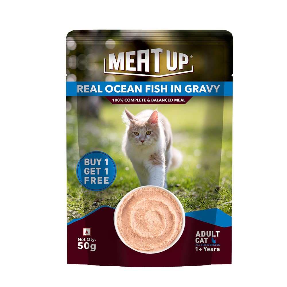 Adult Cat Wet Food 400g + 400g (50g x 8) | Real Ocean Fish in Gravy | Supports Heart & Vision | Strong Bones & Teeth | Natural Flavors | Organic Minerals
