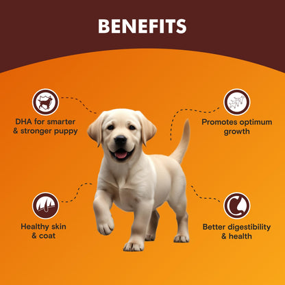 Puppy Wet Dog Food (8 x 70g) 560g + 560g Free, Total 1.12kg | Real Chicken in Gravy | Supports Digestion | Boosts Vitality | Complete & Balanced Meal