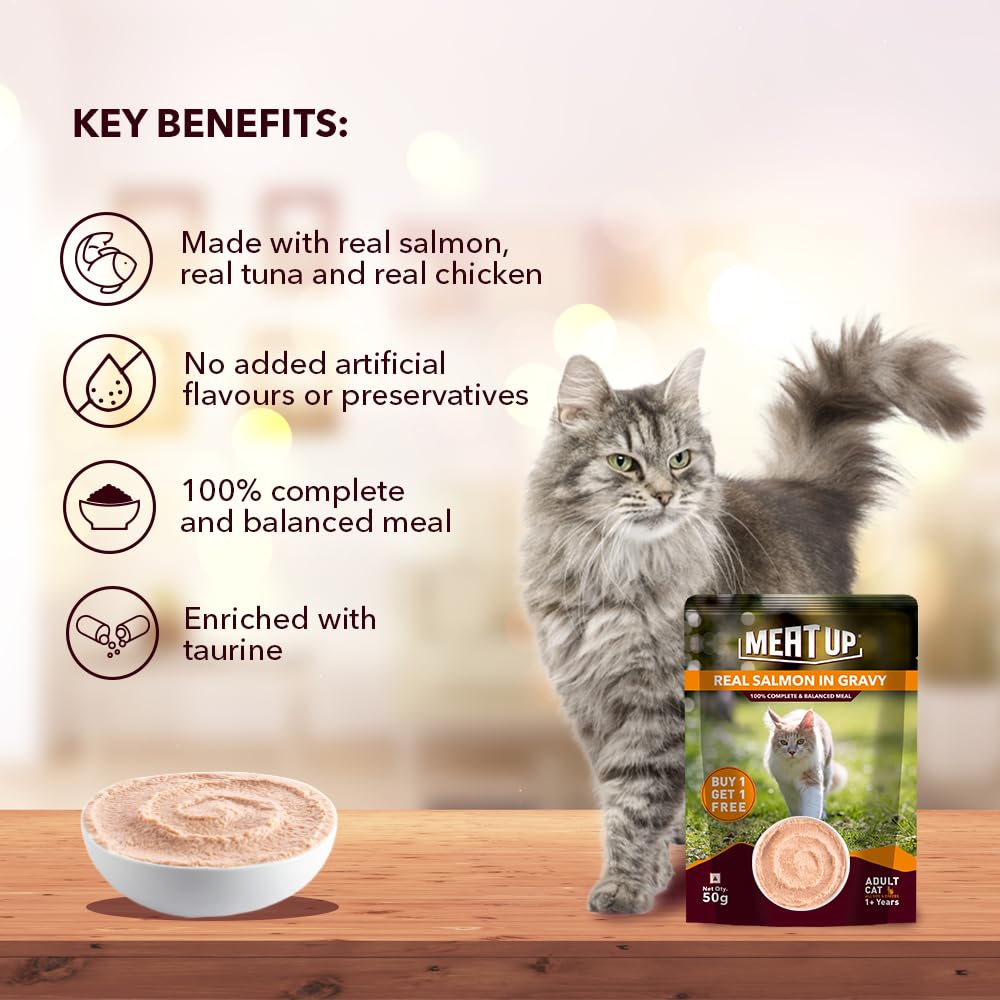 Adult Wet Cat Food (50g x8) 400g + 400g | Real Salmon Fish in Gravy | Supports Heart & Vision Health | Strong Bones & Teeth | Natural Flavours | Organic Minerals & Vitamins