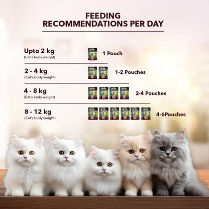 Adult Cat Wet Food 400g + 400g (50g x 8) | Real Ocean Fish in Gravy | Supports Heart & Vision | Strong Bones & Teeth | Natural Flavors | Organic Minerals
