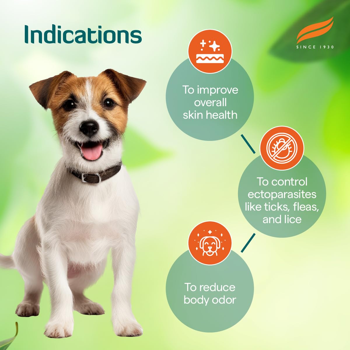 Erina-EP Powder | 150 g | Tick & Flea Control for Dogs & Cats | With Neem & Eucalyptus for Skin Health & Hygiene