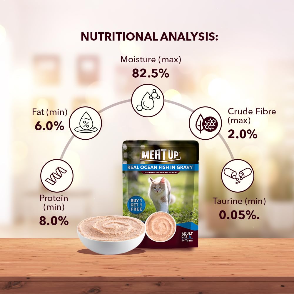 Adult Cat Wet Food 400g + 400g (50g x 8) | Real Ocean Fish in Gravy | Supports Heart & Vision | Strong Bones & Teeth | Natural Flavors | Organic Minerals