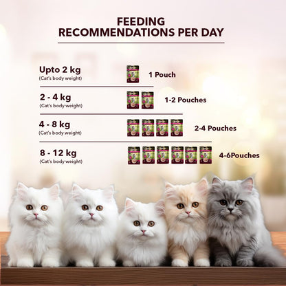Adult Cat Wet Food (50g x 8), 400g + 400g | Real Tuna in Gravy | Supports Heart & Vision Health | Strong Bones & Teeth | Natural Flavours | Organic Minerals & Vitamins