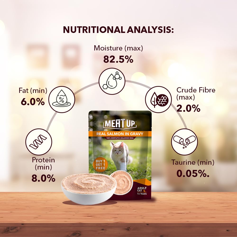 Adult Wet Cat Food (50g x8) 400g + 400g | Real Salmon Fish in Gravy | Supports Heart & Vision Health | Strong Bones & Teeth | Natural Flavours | Organic Minerals & Vitamins