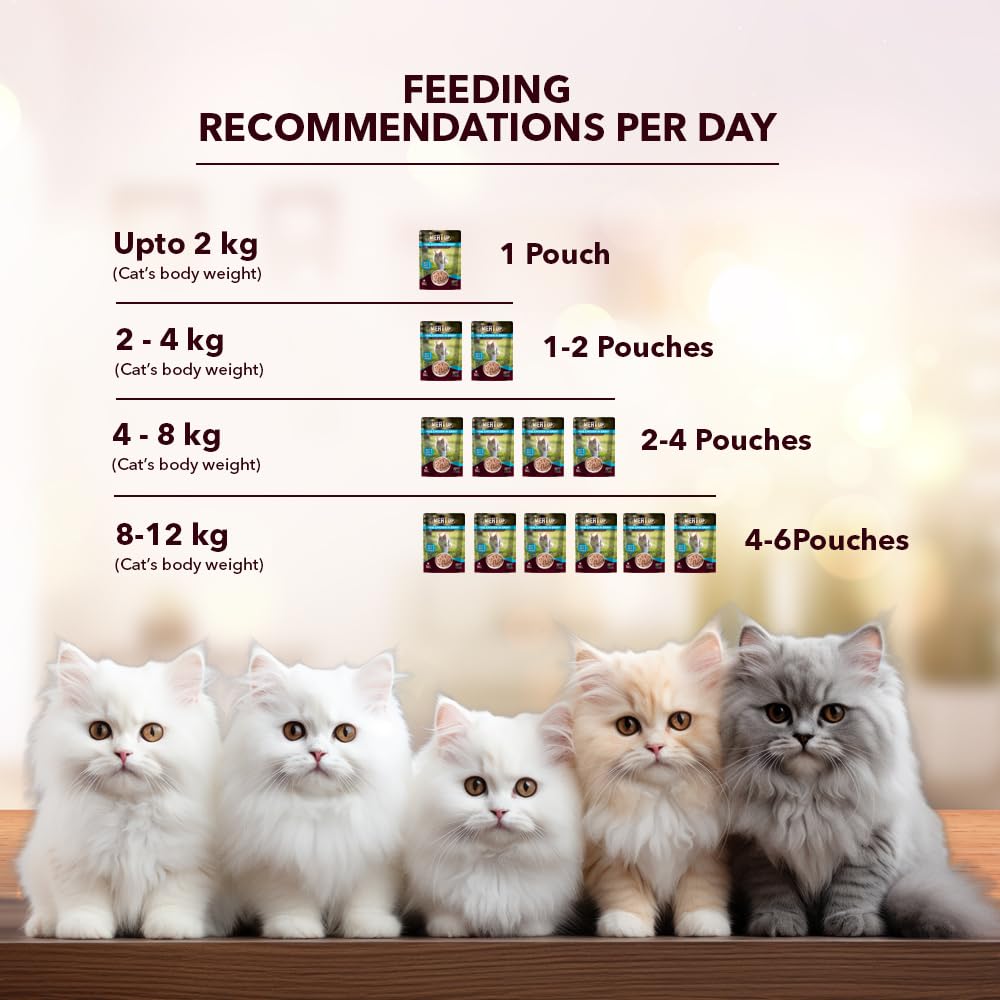 Adult Cat Wet Food (50g x 8), 400g + 400g (Free) | Real Chicken in Gravy | Supports Heart & Vision Health | Healthy Skin & Coat | Natural Flavours | Organic Minerals & Vitamins