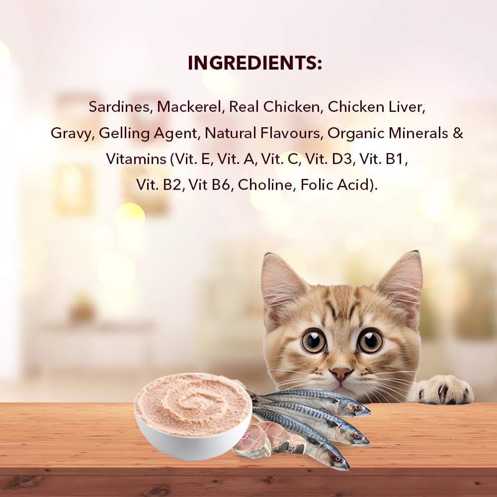 Adult Cat Wet Food 400g + 400g (50g x 8) | Real Ocean Fish in Gravy | Supports Heart & Vision | Strong Bones & Teeth | Natural Flavors | Organic Minerals