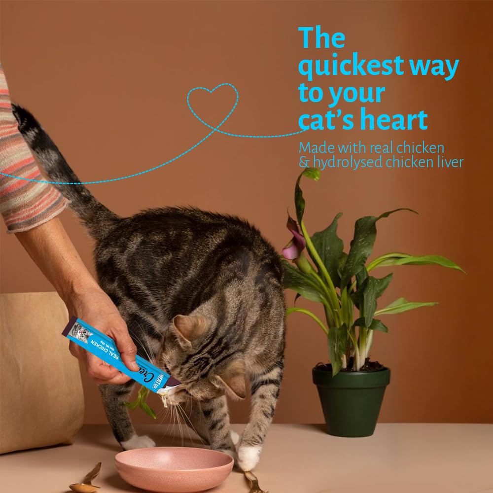 Cat Creamy Lickable Treat (15g x 5 Sachets) 75g + 75g Total 150g| Real Chicken | All Breeds | Supports Immune Function | Supports Skin, Coat & Muscle Health