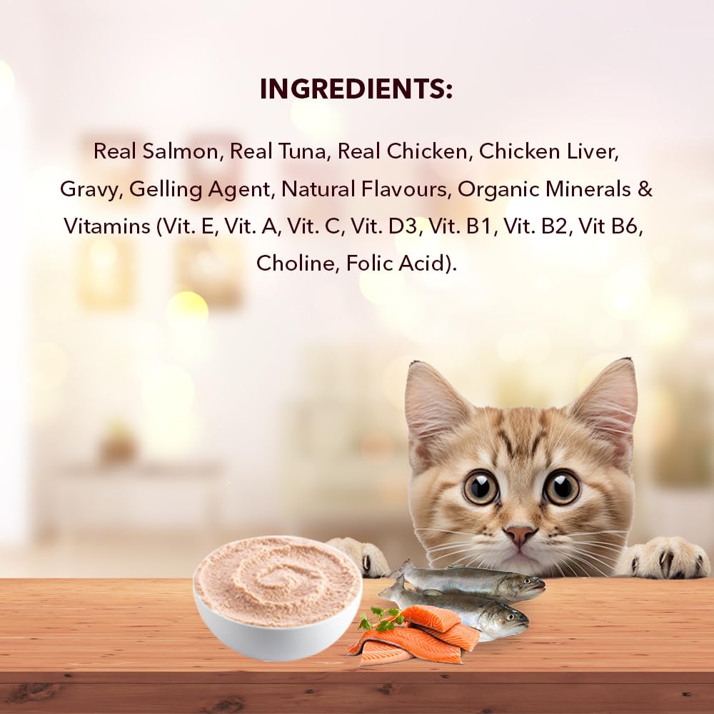 Adult Wet Cat Food (50g x8) 400g + 400g | Real Salmon Fish in Gravy | Supports Heart & Vision Health | Strong Bones & Teeth | Natural Flavours | Organic Minerals & Vitamins