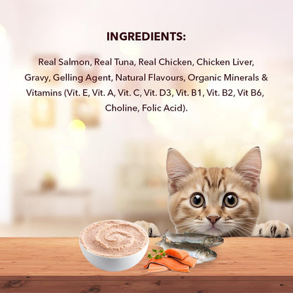 Adult Wet Cat Food (50g x8) 400g + 400g | Real Salmon Fish in Gravy | Supports Heart & Vision Health | Strong Bones & Teeth | Natural Flavours | Organic Minerals & Vitamins