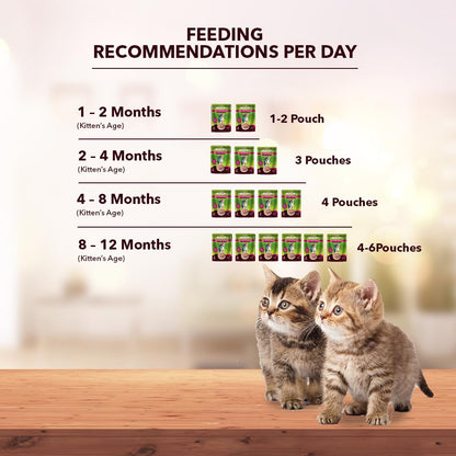 Kitten Cat Wet Food (50g x 8), 400gm + 400gm | Real Tuna in Gravy | Supports Heart & Vision Health | Strong Bones & Teeth | Natural Flavours | Organic Minerals & Vitamins