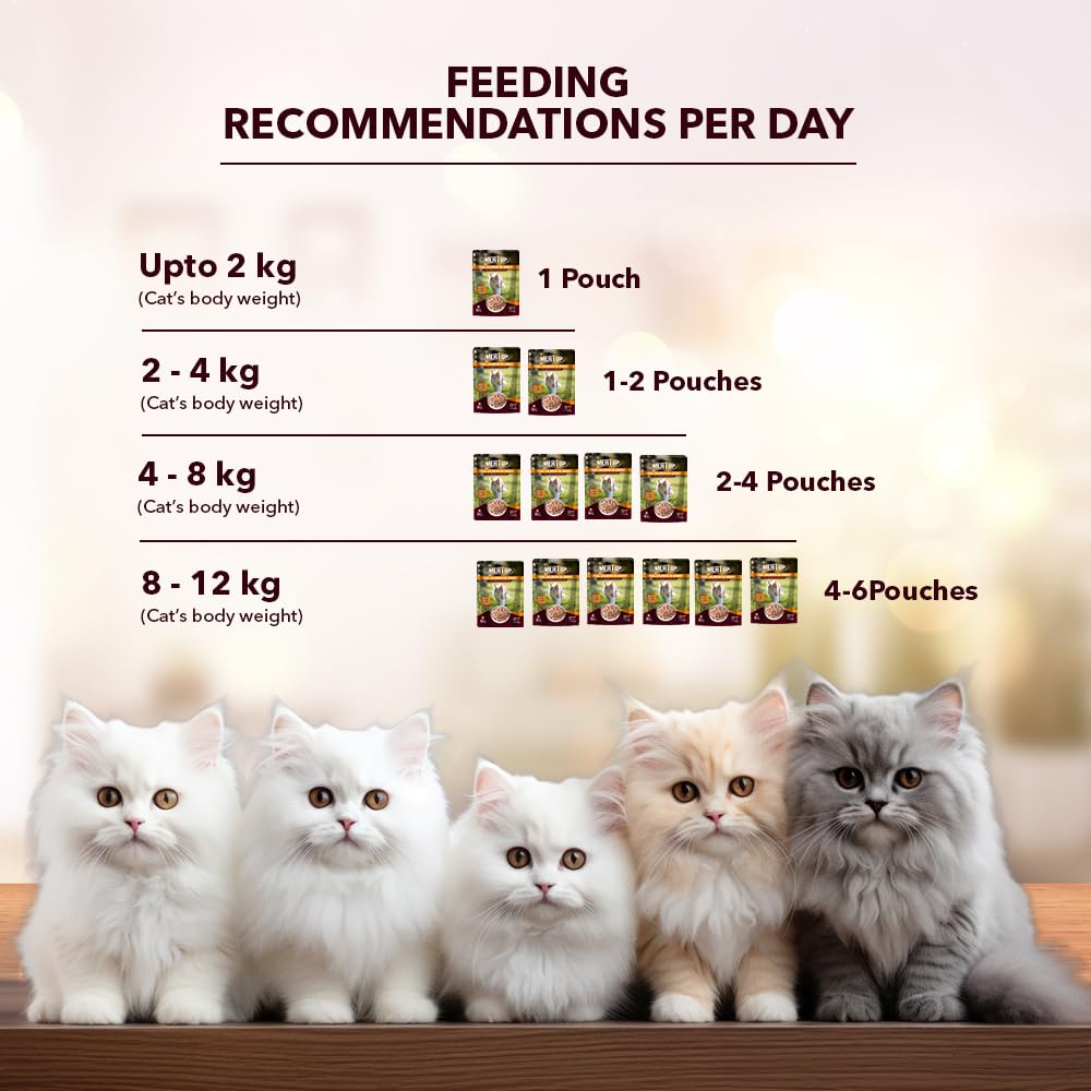 Adult Wet Cat Food (50g x8) 400g + 400g | Real Salmon Fish in Gravy | Supports Heart & Vision Health | Strong Bones & Teeth | Natural Flavours | Organic Minerals & Vitamins