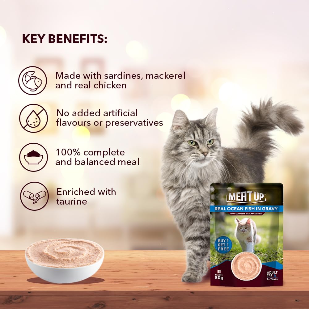 Adult Cat Wet Food 400g + 400g (50g x 8) | Real Ocean Fish in Gravy | Supports Heart & Vision | Strong Bones & Teeth | Natural Flavors | Organic Minerals