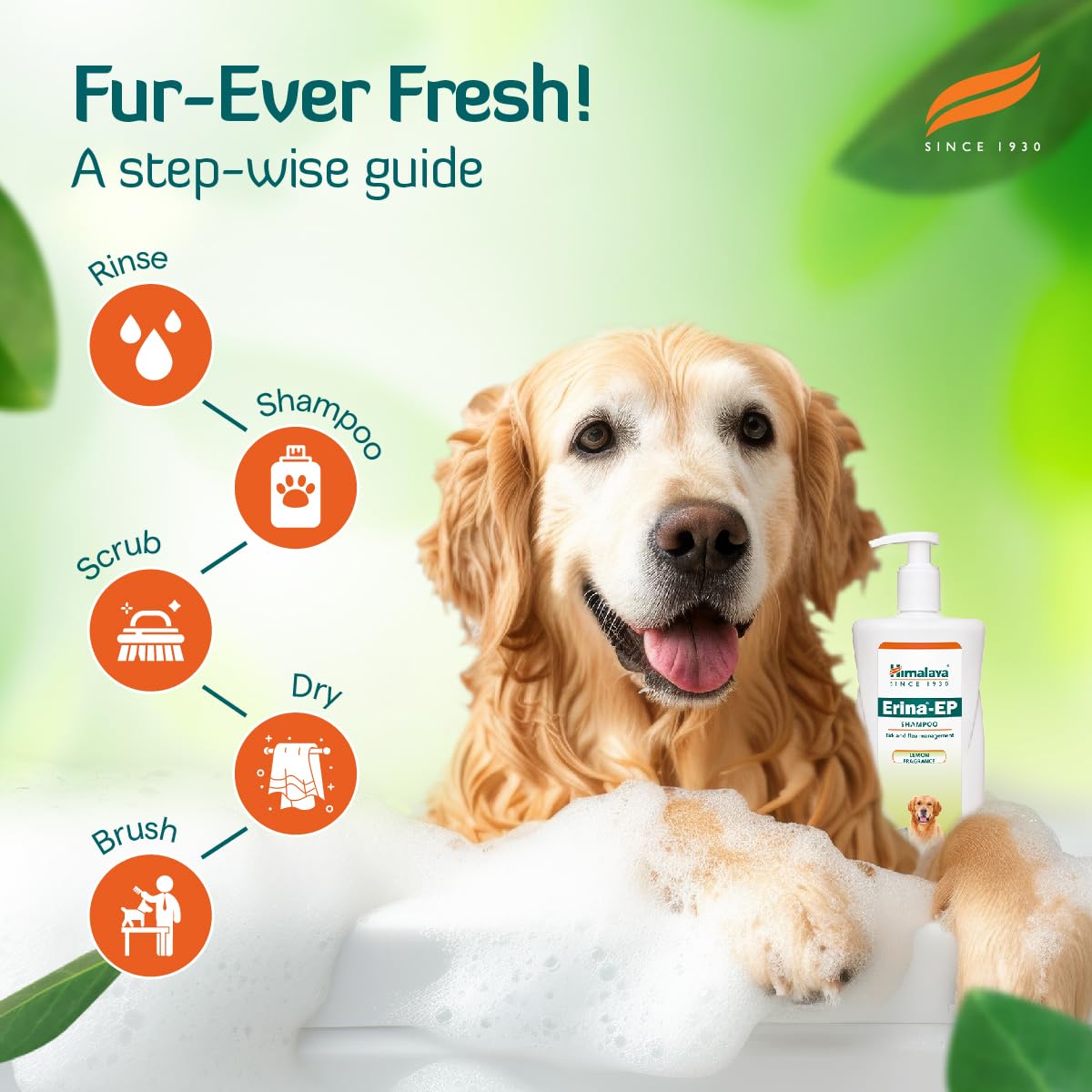 Erina-EP Shampoo | 450 ml | Tick & Flea Control for Dogs & Cats | With Neem & Eucalyptus for Skin Health & Hygiene
