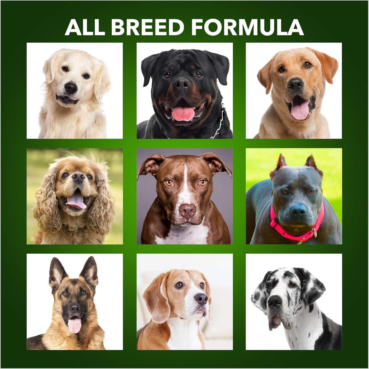 Adult Dry Dog Food 6kg (3kg + 3kg) | 100% Vegetarian | Supports Healthy Skin & Beautiful Coat | Rich in Antioxidants | Enriched with Vitamins & Minerals
