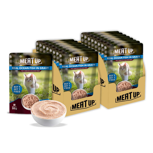 Adult Cat Wet Food 400g + 400g (50g x 8) | Real Ocean Fish in Gravy | Supports Heart & Vision | Strong Bones & Teeth | Natural Flavors | Organic Minerals