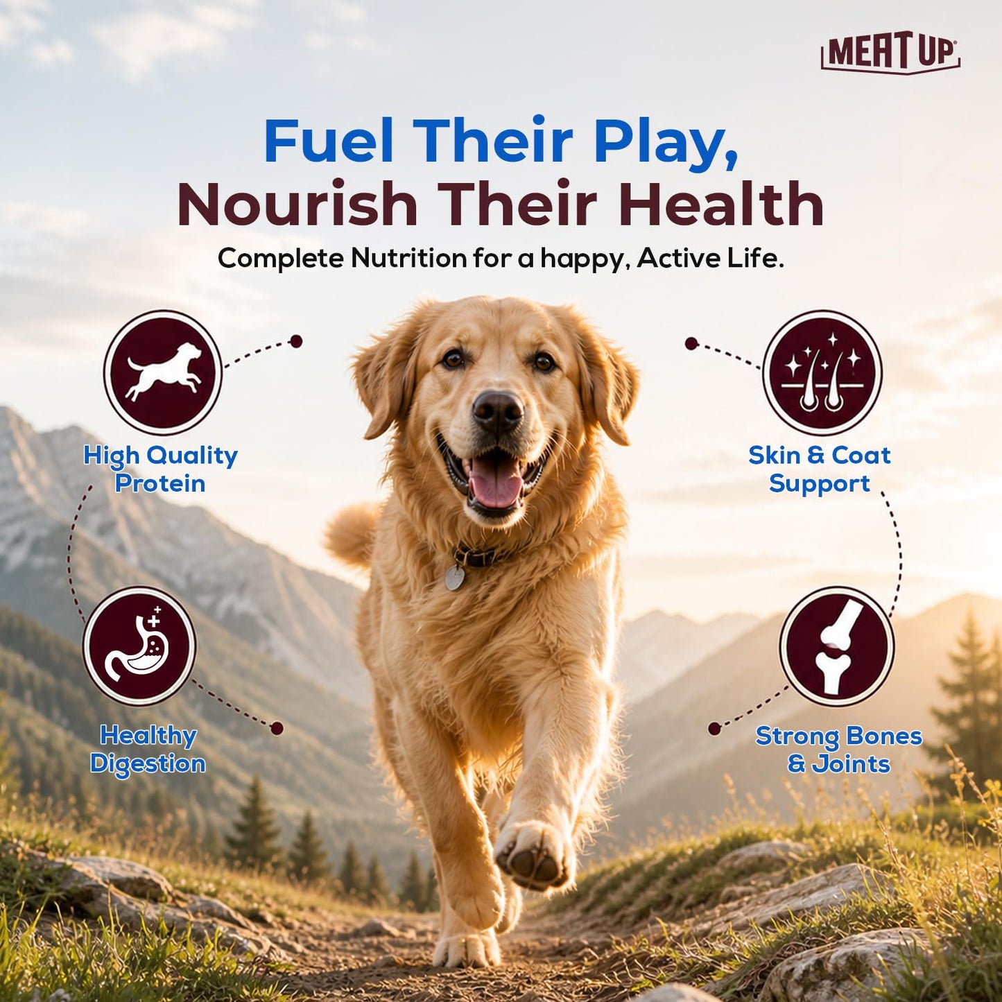 Adult Dry Dog Food 6kg (3kg + 3kg) | Chicken Flavour | Glucosamine for Healthy Joints & Bones | Enriched with Vitamins & Minerals | Supports Digestive Health