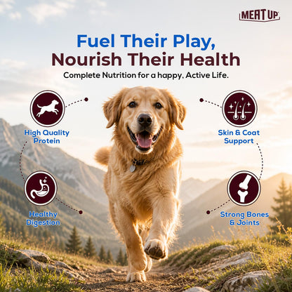 Adult Dry Dog Food 6kg (3kg + 3kg) | Chicken Flavour | Glucosamine for Healthy Joints & Bones | Enriched with Vitamins & Minerals | Supports Digestive Health