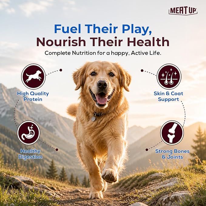 Adult Dry Dog Food 2.4kg (1.2kg + 1.2kg) | Chicken Flavour | Healthy Skin & Coat | Antioxidants | Enriched with Vitamins & Minerals