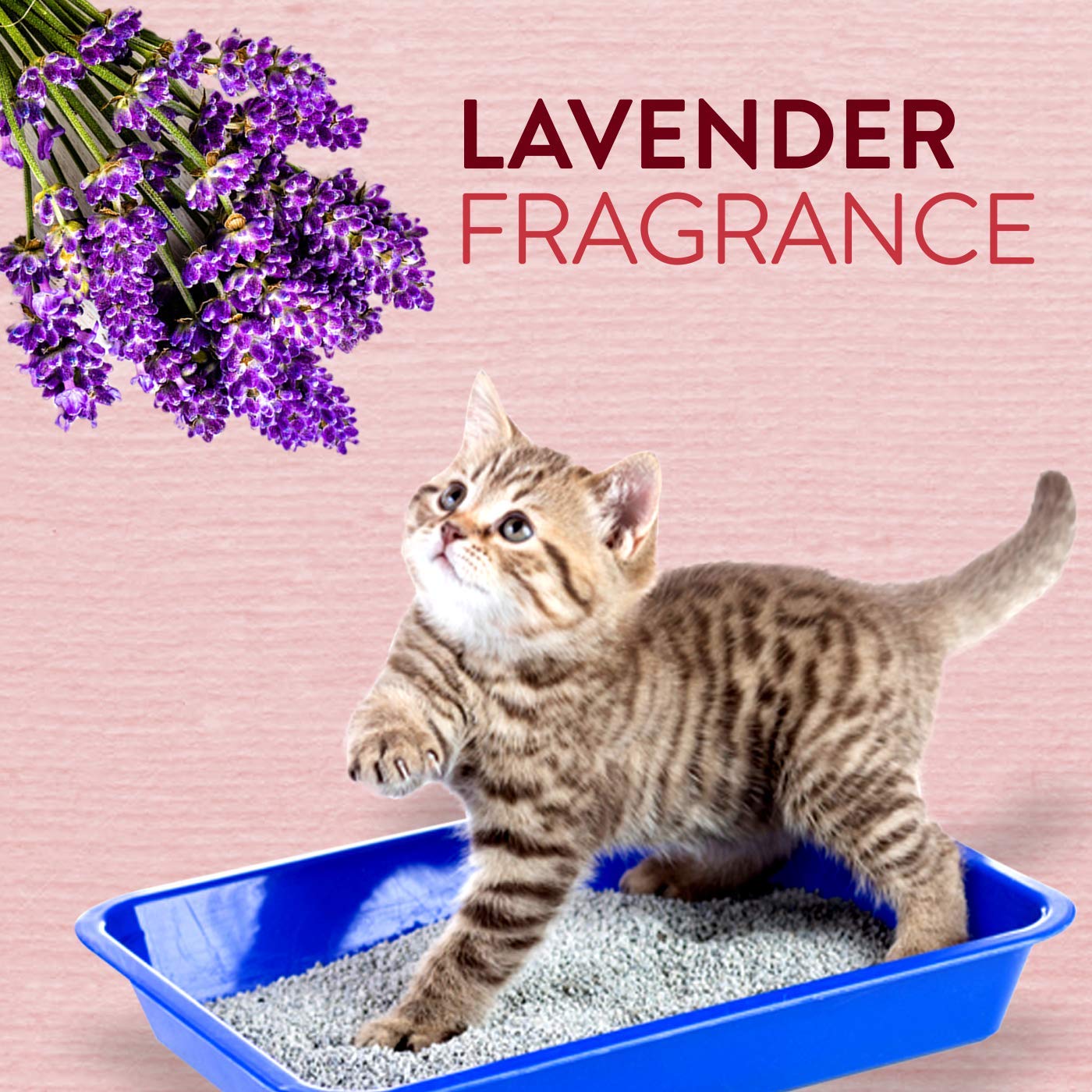 Clumping Lavender Fragrance Cat Litter (Buy 1 Get 1 Free), 5kg