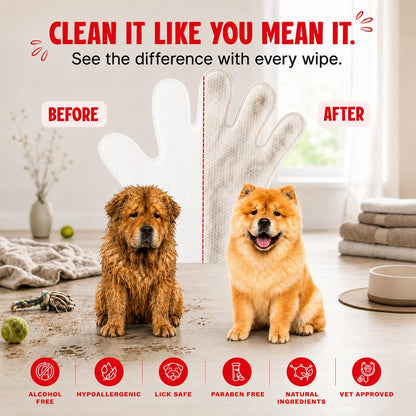 Starter Care Kit for Dogs | Dental Wipes + 4 pc Grooming Gloves | Complete On-the-Go Pet Hygiene Kit | Vet Formulated