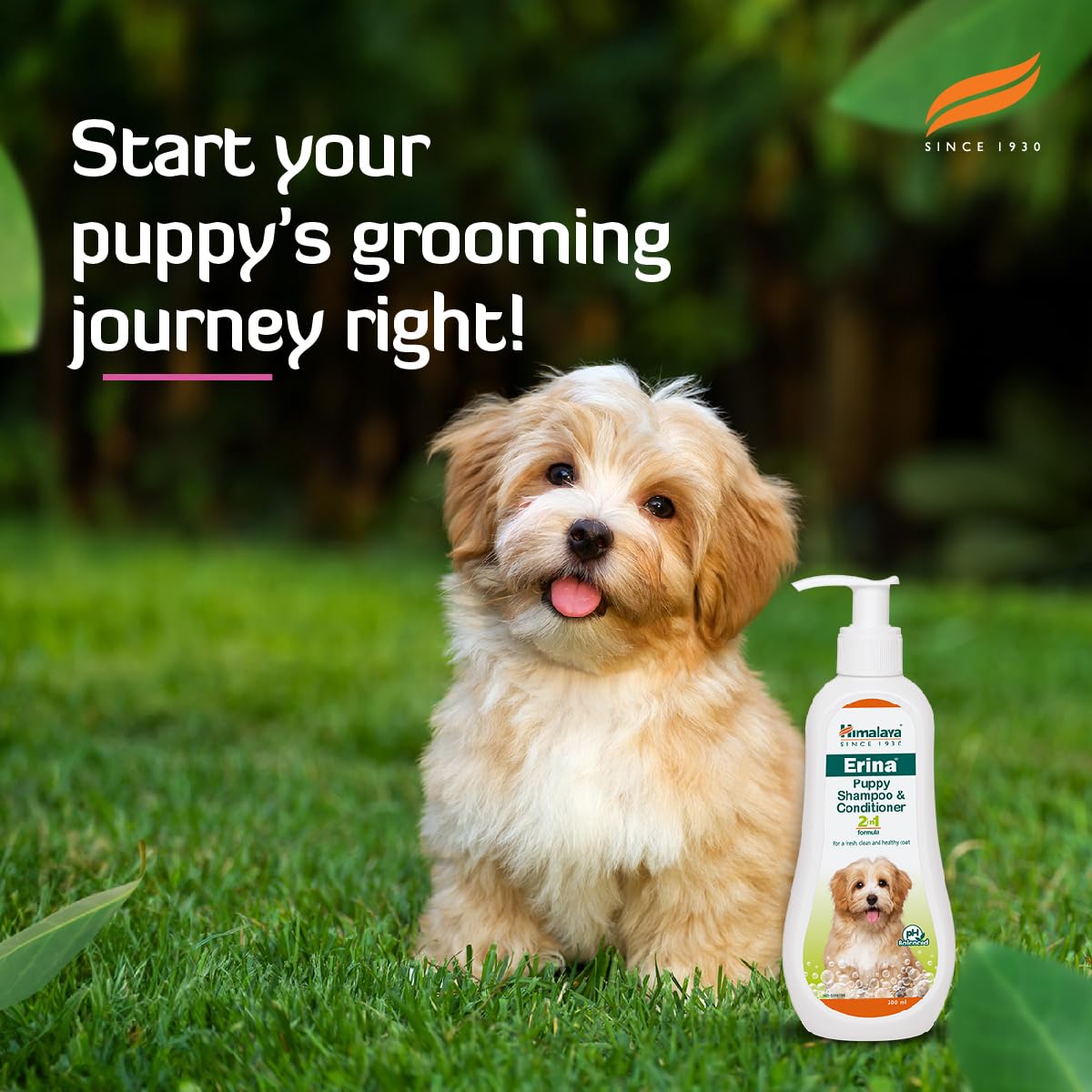 Erina Puppy Shampoo & Conditioner | 200 ml | Gentle 2-in-1 Cleansing & Conditioning for Puppies – with Oats, Reetha & Lavender Oil