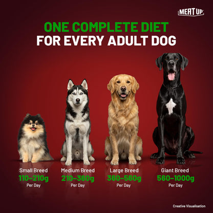 Adult Dry Dog Food 6kg (3kg + 3kg) | 100% Vegetarian | Supports Healthy Skin & Beautiful Coat | Rich in Antioxidants | Enriched with Vitamins & Minerals
