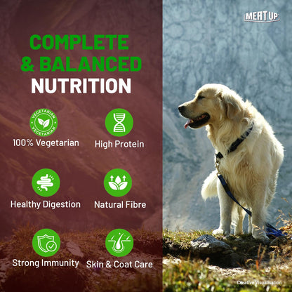 Adult Dry Dog Food 6kg (3kg + 3kg) | 100% Vegetarian | Supports Healthy Skin & Beautiful Coat | Rich in Antioxidants | Enriched with Vitamins & Minerals