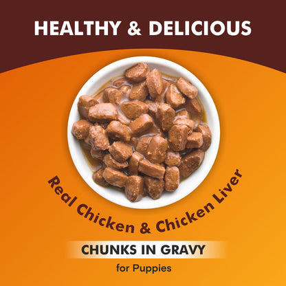 Puppy Wet Dog Food (8 x 70g) 560g + 560g Free, Total 1.12kg | Real Chicken in Gravy | Supports Digestion | Boosts Vitality | Complete & Balanced Meal
