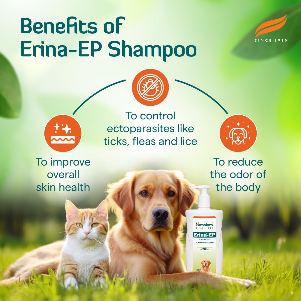 Erina-EP Shampoo | 450 ml | Tick & Flea Control for Dogs & Cats | With Neem & Eucalyptus for Skin Health & Hygiene