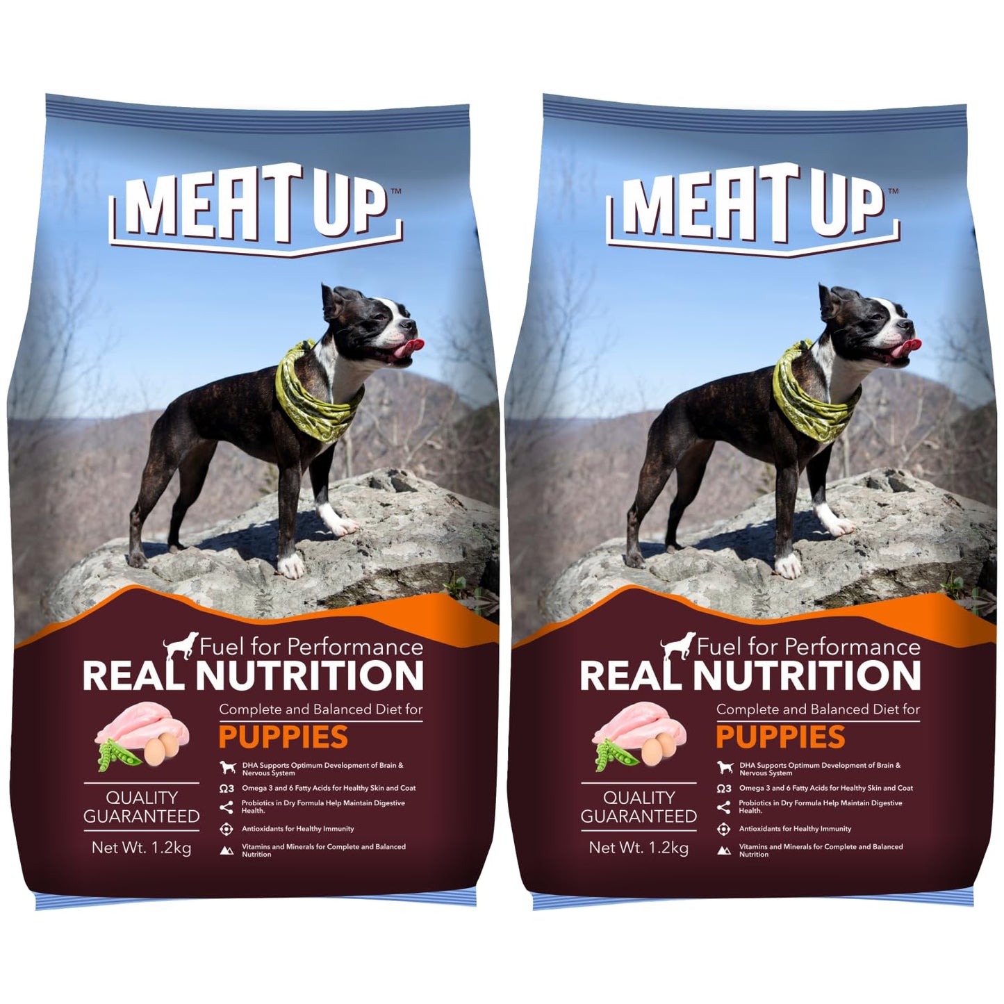 Puppy Dry Dog Food 20kg (10kg + 10kg) | Real Chicken Flavor | Supports Brain & Nervous System Development | Promotes Digestive Health | Enriched with Vitamins and Minerals