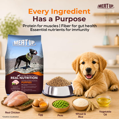 Puppy Dry Dog Food, 1.2 kg + 1.2 kg Total 2.4 kg Pack