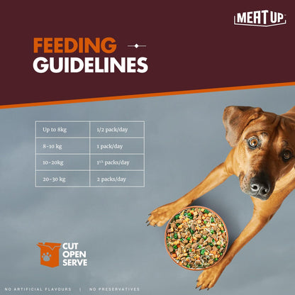 Fresh Dog Food Chicken & Vegetables 300g | High Protein, 65% Real Chicken, 35% Fruits & Veggies | No Preservatives | Ready to Serve | Single-Serve Meal