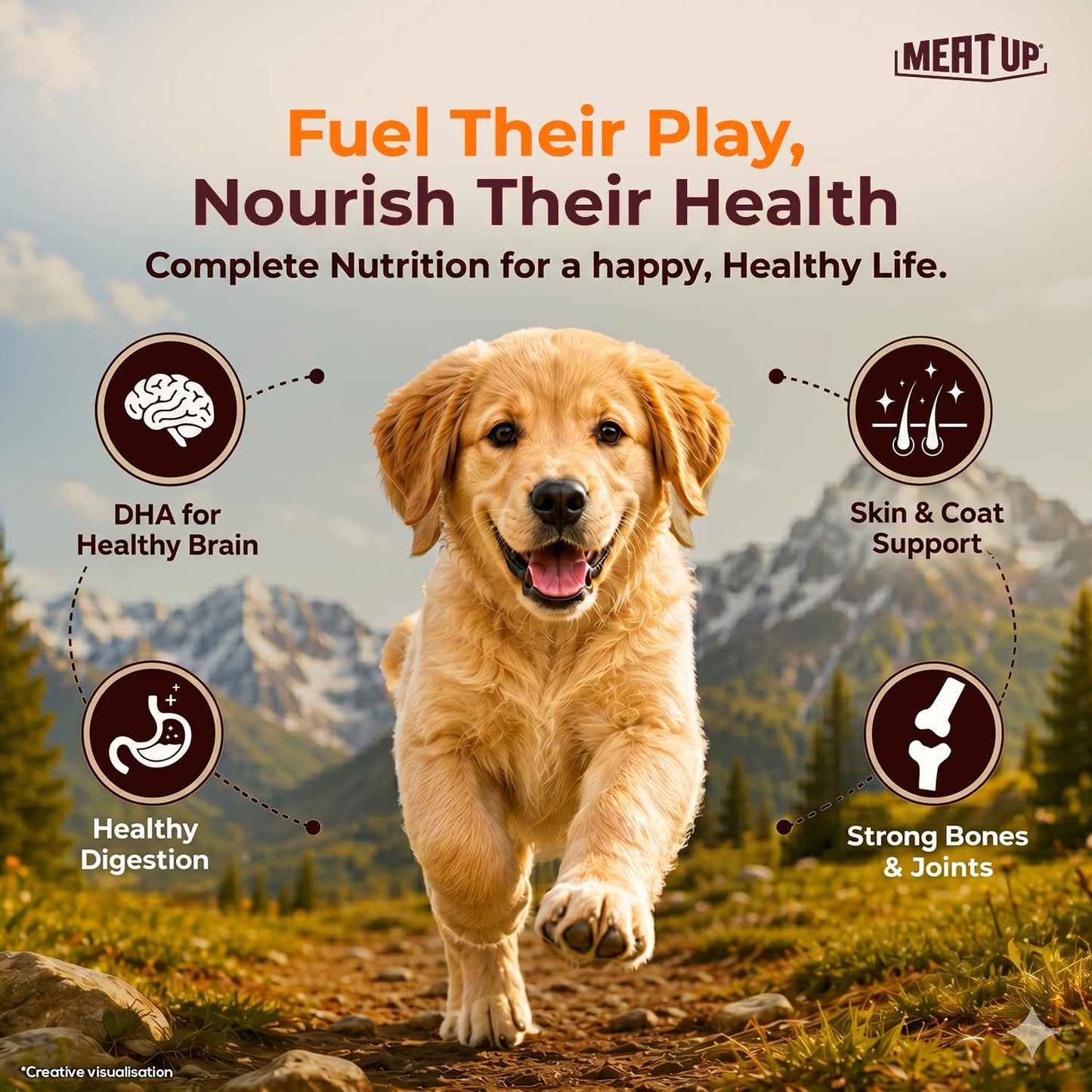 Puppy Dry Dog Food, 1.2 kg + 1.2 kg Total 2.4 kg Pack