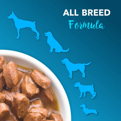 Adult Wet Dog Food (8 x 70g) 560g + 560g (Free) 1120g| Real Chicken in Gravy | Healthy Digestion | Promotes Health & Vitality | Complete and Balanced Meal