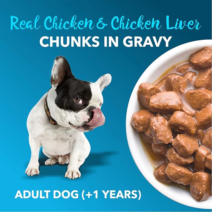 Adult Wet Dog Food (8 x 70g) 560g + 560g (Free) 1120g| Real Chicken in Gravy | Healthy Digestion | Promotes Health & Vitality | Complete and Balanced Meal