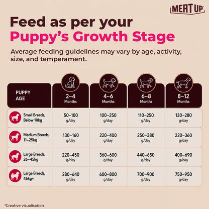Puppy Dry Dog Food 6kg (3kg + 3kg Free) | Chicken & Milk Flavour | Supports Brain & Nervous System Development | Maintains Digestive Health | Enriched with Vitamins & Minerals