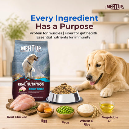 Adult Dry Dog Food 6kg (3kg + 3kg) | Chicken Flavour | Glucosamine for Healthy Joints & Bones | Enriched with Vitamins & Minerals | Supports Digestive Health