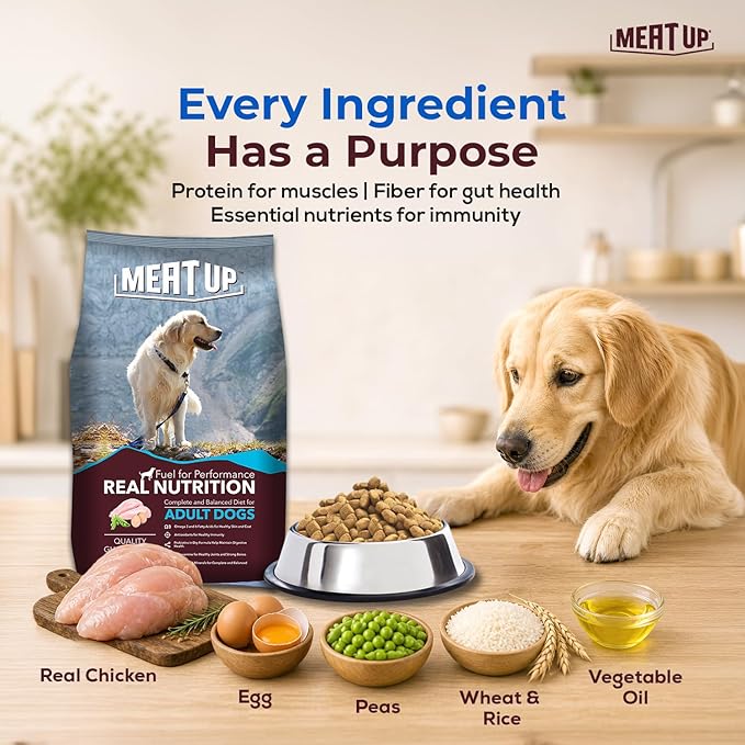 Adult Dry Dog Food 20kg (10kg + 10kg) | Chicken Flavour | Glucosamine for Healthy Joints & Strong Bones | Enriched with Vitamins & Minerals | Supports Digestive Health