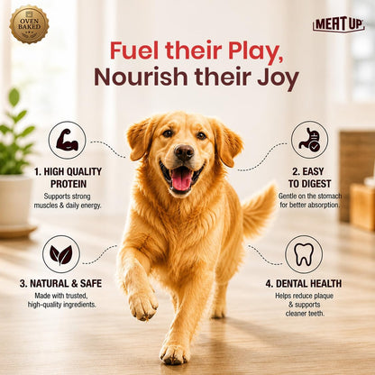 Dog Treats Biscuits, Mutton Flavour (500g + 500g) Total 1Kg Pack (All Life Stages)