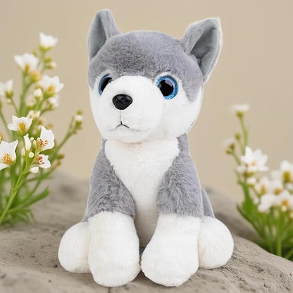 Glittery Eyes Husky Dog Stuffed Plush Animal | Teddy Bear Soft Toy |Ideal for Birthdays & Special Occasions Girls/Boys, Baby Kids -(Grey, 25Cm)